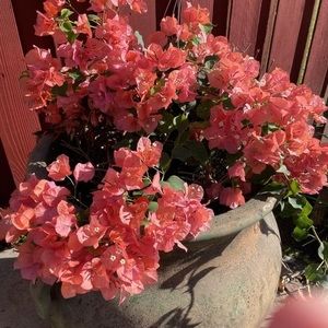 Meet your Posher, Joanna